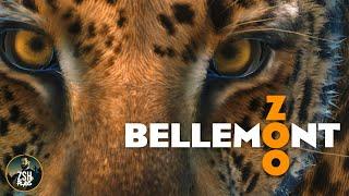 Building an African Leopard Habitat! | Bellemont Zoo