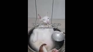 Así, si me baño 