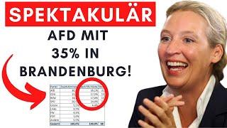 Prognose: AfD bekommt 84% der Direktmandaten UND Sperrminorität!