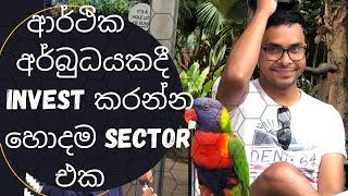 The Best Investment Option in Sri Lanka During the Economic Crisis