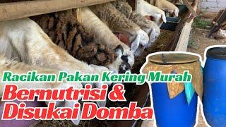 RACIKAN PAKAN KERING MURAH BERNUTRISI SANGAT DISUKAI DOMBA