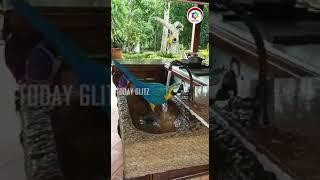 Bird Bathing in the water Funny Viral Video