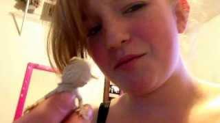 The fancy bearded dragon does funny things with his head rachel law