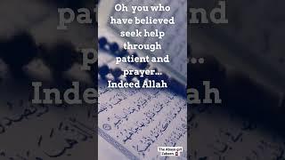 Quran 2:153 #shorts #allah #love #youtube #ytshorts #quran #trust #patience #sabr #muftimenk