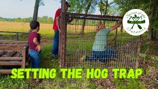 Setting the Hog Trap