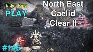 Elden Ring North East Caelid Clear 100% II Elder Dragon Greyoll BOSS Fight Fort Faroth Part 146