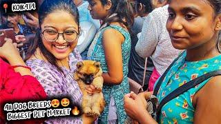 Cheap Price Dog In Kolkata | Gallif Street Pet Market Kolkata | Recent Dog Puppy Price Update | Dogs