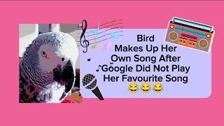 Bird Makes Up Her Own Song After Google Didn't Play Her Favorite Song  #animals #pets #birds #funny