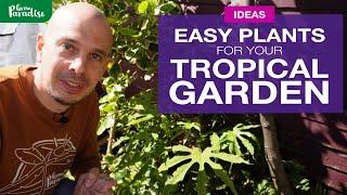 TROPICAL GARDEN plants | Easy to grow & find