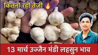 Ujjain Mandi Lahsun Ka Bhav | Garlic Price Today | Ujjain Mandi Bhav Lahsun | 13 March 2024