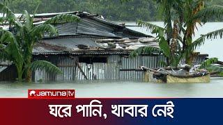 কোথায় গিয়ে দাঁড়াবে কোম্পানীগঞ্জের মানুষ? | Sylhet flood | Jamuna TV