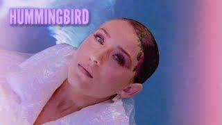 SVRCINA - Hummingbird (Lyric Visualizer)