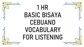 1-HR BASIC BISAYA CEBUANO Vocabulary | Lesson from VLOG#2