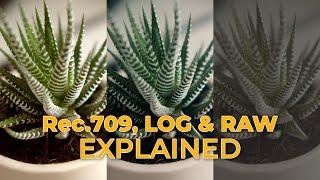 Rec.709, LOG & RAW Explained | Visual Verse