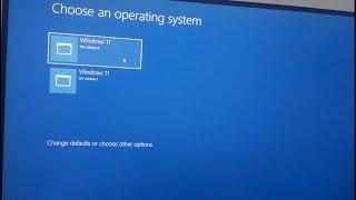 Disable Choose an Operating System at start up Windows 11, 10 - Dual Boot disable