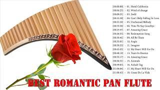 Pan Flute Covers of Popular Songs 2020 ||  Best Instrumental Pan Flute Covers 2020