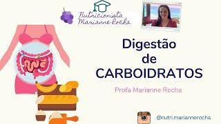 DIGESTÃO E ABSORÇÃO DE CARBOIDRATOS | NUTRIÇÃO