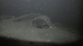 The bottom of this lake is so deep it’s dark! (GoPro and LED Light)