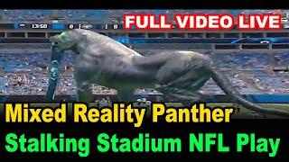 Mixed Reality Panther Stalking Stadium Was Coolest NFL Play Of The Day |Stalking Stadium Today video