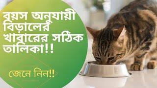 বিড়ালের বয়সের সাথে খাবার খাওয়ানোর নিয়ম/ Cat feeding schedule #howtofeedyourcat #catfeedingdaily