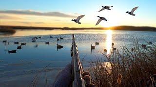 Mallard LIMIT Over an ICE HOLE! (All Drakes) | 28 Gauge Duck Hunting (Remastered)