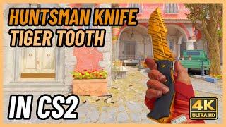  CS2 Huntsman Knife Tiger Tooth | CS2 Knife In-Game Showcase [4K]