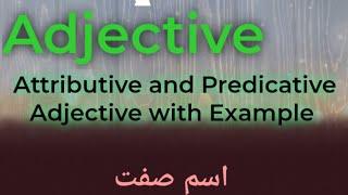 Adjective with Examples|Attribute and Predicative Adjective with Example