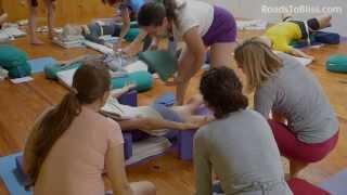 Iyengar Yoga therapy workshop  with Lois Steinberg, Ph.D. Certified Iyengar Yoga Teacher Advanced 2