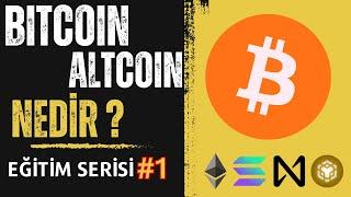 Bitcoin ve Altcoin Nedir? | Kripto Eğitim Serisi-1