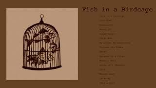 a Fish in a Birdcage playlist because they're underrated