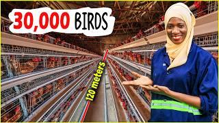 Inside a 30,000 Chicken Automated House (This Will Blow Your Mind!)