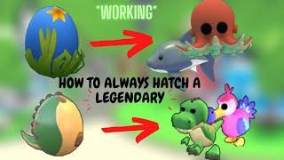 *OMG IT WORKS* HOW TO ALWAYS HATCH A LEGENDARY PET IN ADOPT ME- ONLY HATCH A LEGENDARY PET- ROBLOX