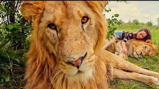 TAIGAN LIONS PARK IN CRIMEA - OUR LIONS LIVE HERE