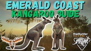 Emerald Coast Kangaroo Guide -the Hunter: Call of the Wild