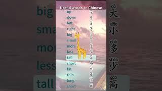 how to learn chinese language  #learning #china #newwords  #learnchinese  #job  #learn  #https