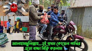 আলহামদুলিল্লাহ,,এই প্রথম কোয়েল পাখির এতো বাচ্চা বিক্রি করলাম 