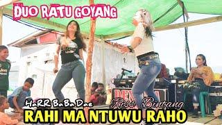 Rahi Ma Daju Mbako || Cover Riss Bintang fead Harr || Denata Musik