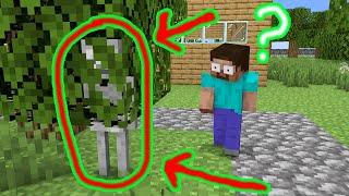 Monster School : Hide and Seek - Funny Minecraft Animation