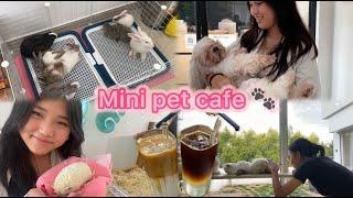 We finally visited Mini Pet Café / Wonderful Experience