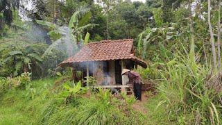 Gara² Depresi., Mantan Youtuber Muda Memilih Bertani Tinggal Di Gubuk Kecil Dekat Hutan.