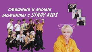 Смешные и милые моменты с STRAY KIDS 1 часть