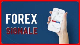 Automatisierter Forex Handel einfach erklärt!