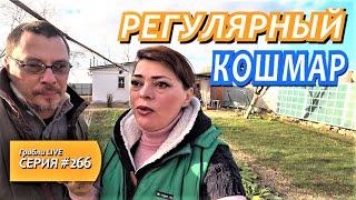 УРАГАН В КРАСНОДАРСКОМ КРАЕ. КАК ПЕРЕЖИЛИ?/ Пять лет после переезда на Юг