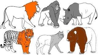 Wild Animals Coloring Pages - Name and Sound - Learning Animal for Kids - Kids World