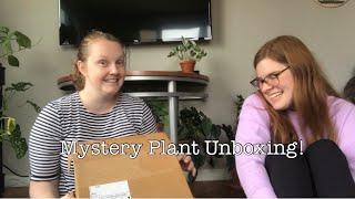 Mystery Houseplant Unboxing - I Ordered A Mystery Box Of Houseplants??