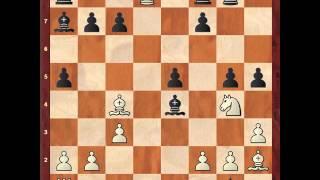 Anish Giri vs Pavel Eljanov C 54 Guioco Piano Norway Chess 2016 1 1-0