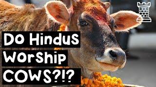 Do Hindus Worship Cows? - Hindu Beef Taboo Explained