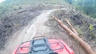 FURTADO DA TORNADO - Quadriciculo 4x4 em Monte Verde