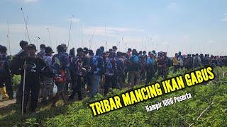 MANCING BARENG HAMPIR 1000 CASTINGER || TRIBAR P O A C yang ke 3