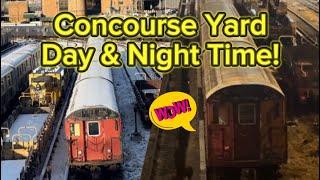 Witness Concourse Yard in Two Worlds: Day and Night